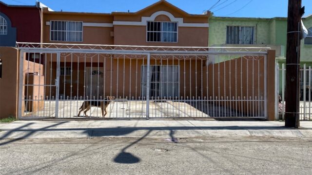 GIA_AV.VETERINARIOS #14312